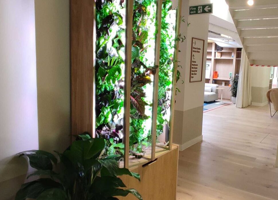 BRINGING THE OUTDOORS INTO THE OFFICE