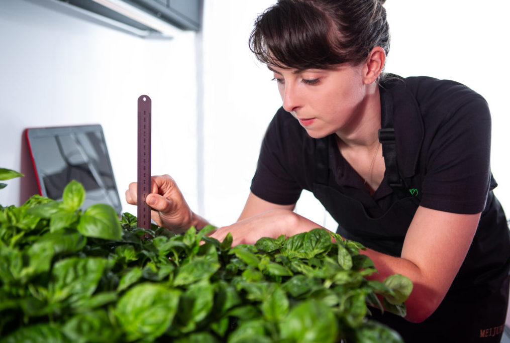 5 THINGS INDOOR FARMERS SHOULD KNOW WHEN CHOOSING THEIR GROW LIGHTS