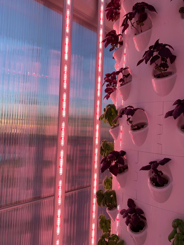 Plants in rotating drum grow stack lit by vertically mounted Horit-Blade LED grow lights